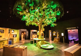 l'espace des sciences aux champs libres