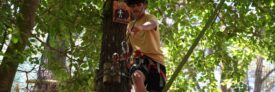 Accrobranche Forêt Adrénaline Rennes