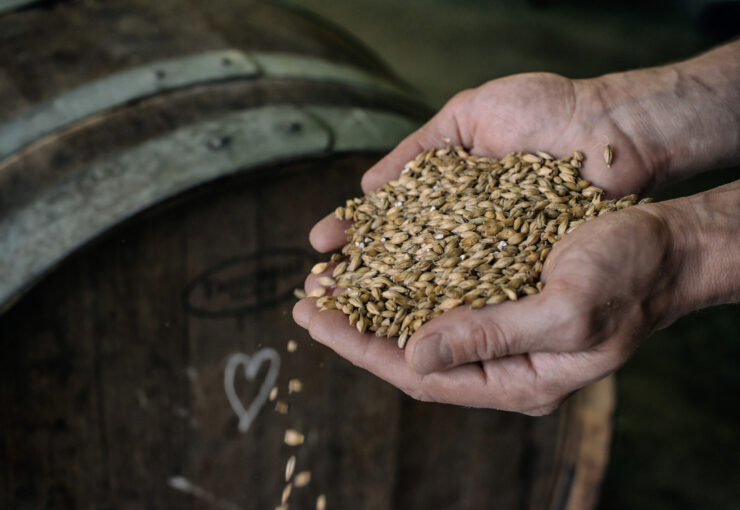 malt-skumenn-12099
