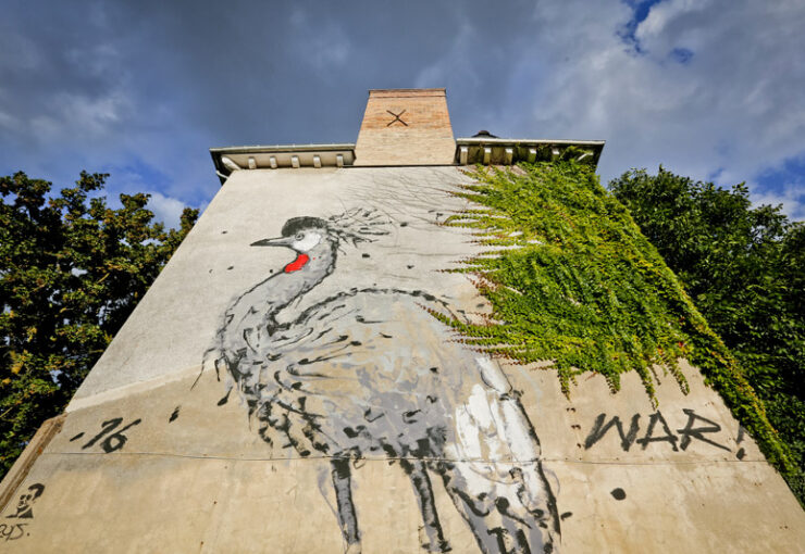 Visite street art à Rennes