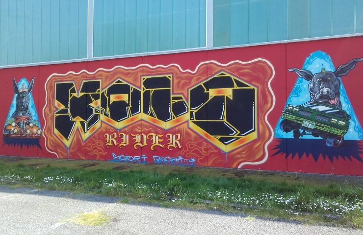 safari-graffiti-rennes-xolo-denz